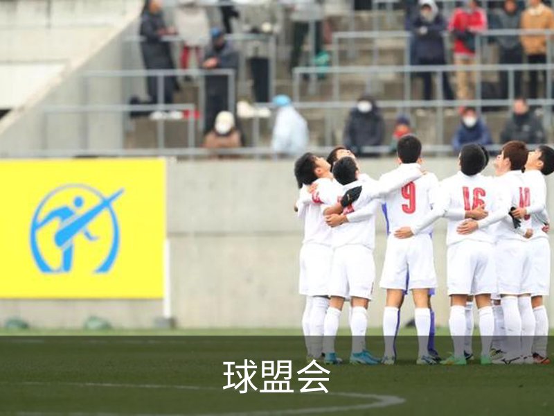 关于球盟会